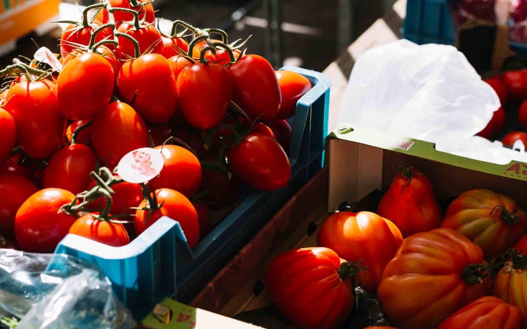 Food Distribution Company