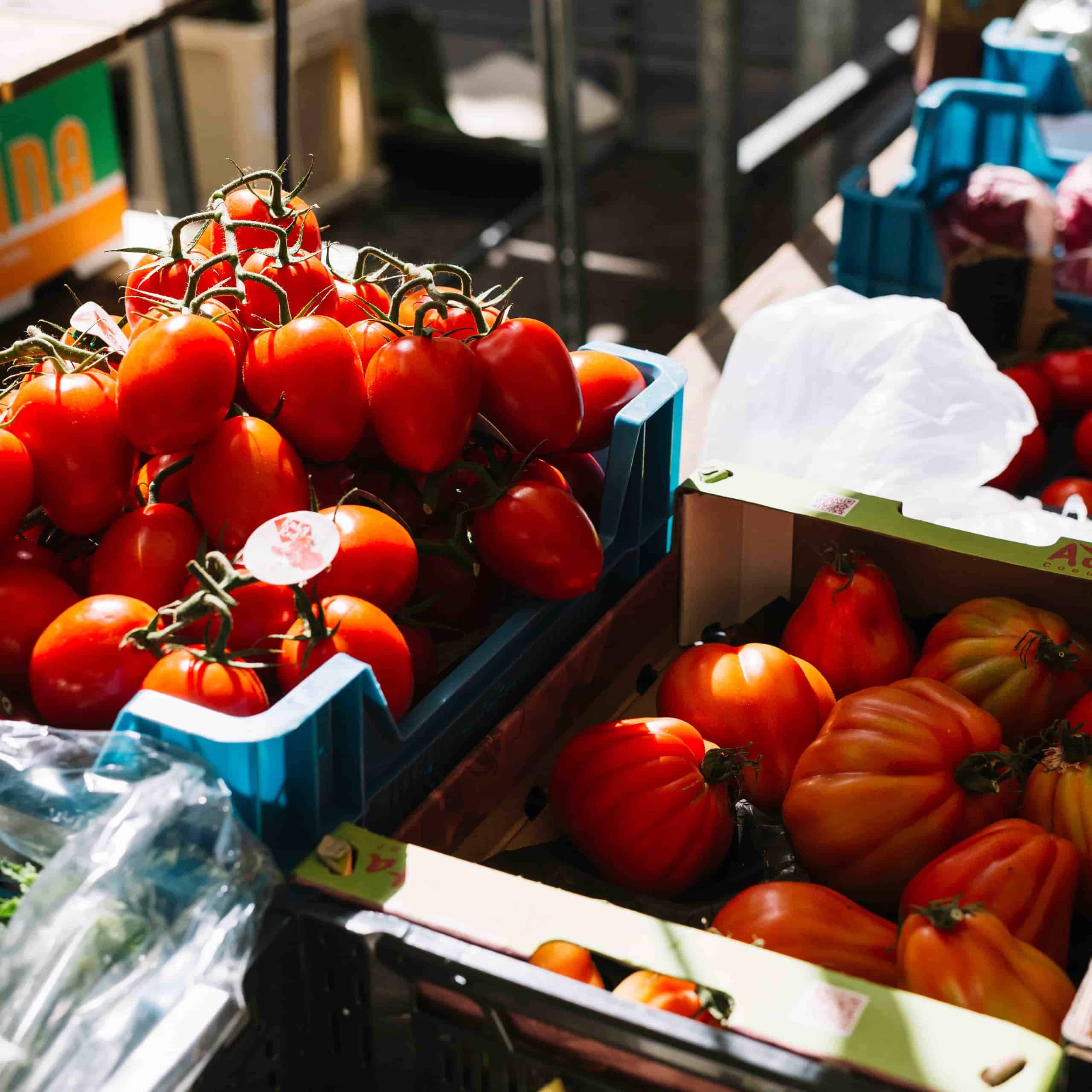 Food Distribution Company Food Distribution Company
